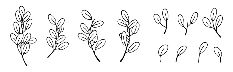 Set of olive branches and leaves. Floral elements. Outline drawing. Can be used for card, invitation, textile, wallpaper, pattern. Isolated vector and PNG illustration on transparent background. 