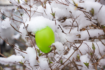 shrub with easter egg and fresh fallen snow
