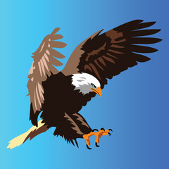 Obraz na płótnie Canvas bald eagle in flight