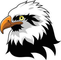 eagle head, eagle face, hawk head, wild bird, bird head