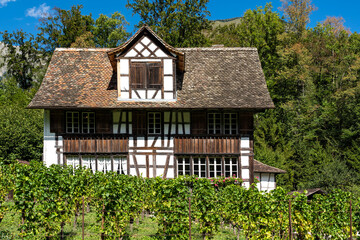 Fototapeta na wymiar Historisches Weinbauernhaus in Ballenberg