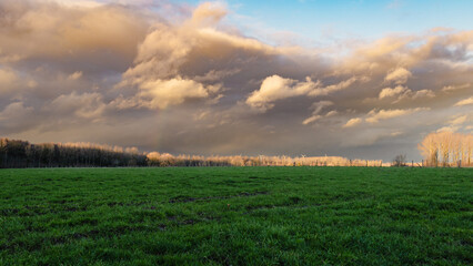 Espace naturel dans les champs, Plaines de l'Escaut, Wallonie, Hainaut, Belgique