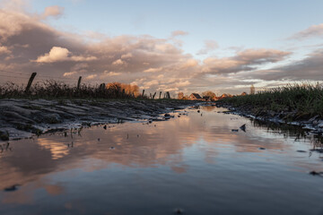 Reflet de ciel dans l'eau sur un chemin de campagne pittoresque 
