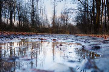 Balade en forêt par temps de pluie - bois de Howardrie , Plaines de l'Escaut
