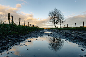 Promenade dans les champs par temps de pluie, chemin inondé dans les Plaines de l'Escaut