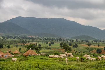 Selbstklebende Fototapeten African village in Nigeria near capitol city of Abuja. Traditional African houses made of mud walls and wattle roofs, with untouched nature with hills and mountains in background © Miros