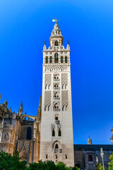 Fototapeta premium La Giralda - Seville, Spain