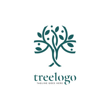 illustration of a tree for the cosmetic skin care logo in vector format on a white background.