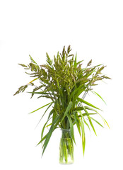 Bouquet of summer wildflowers. Floral composition.