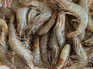 Raw tiger king prawns, close up background. Full frame of freshly caught raw king prawns on sale at seafood market in Borough market. Black Tiger Shrimp, Raw Prawn Seafood Pile, Fresh Crustacean Food