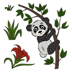 Clipart of a cartoon cute panda on a branch, with a flower and grass. Vector illustration of a funny panda on a branch. Wild animals in the jungle