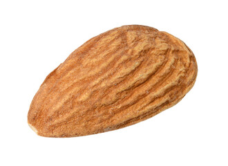 Almond kernel on a white isolated background
