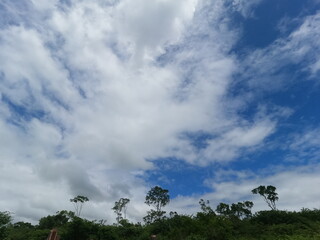 Obraz premium Photo taken in the rural area of the city of Macajuba, Bahia, Brazil. (January 2023)