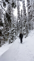 Man on Hike in Snow Packed Forest