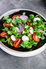 vegetables salad tomato, radish, onion, mache lettuce, green leaves spring snack fresh healthy meal food on the table copy space food background rustic top view keto or paleo diet veggie vegan 