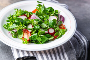 vegetables salad tomato, radish, onion, mache lettuce, green leaves spring snack fresh healthy meal food on the table copy space food background rustic top view keto or paleo diet veggie vegan 