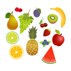 Collection of Healthy Fruits Illustration 4 - 558725421