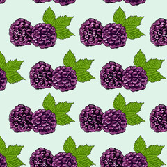 background with illustrated patterns of Blackberry
