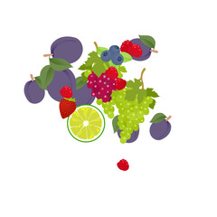 Collection of Healthy Fruits Illustration 4 - 558725882