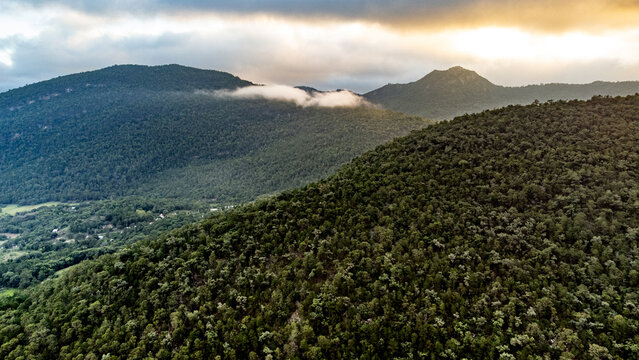 Foto drone al amanecer con niebla en el bosque