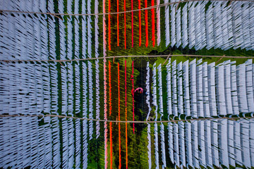 Aerial view of people working in an open air laundry with colourful fabric hanged to dry in Narayanganj, Bangladesh.