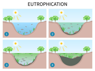 classification of degradation water quality algae productivity life salt system excess waste plant oxygen depletion marine - obrazy, fototapety, plakaty