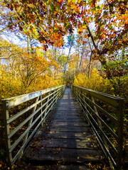Fototapeta na wymiar wooden bridge in autumn