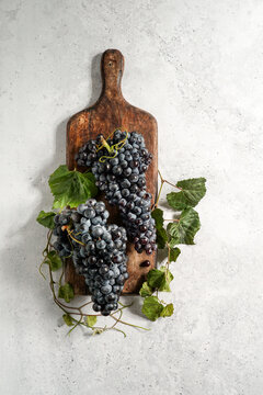 ripe grapes, winemaking, on a ceramic tile table, Mediterranean, concept of autumn, vineyards