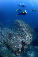 Grupo de buceadores junto a columnas basálticas