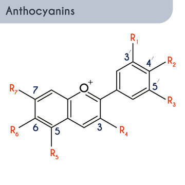 Anthocyanin molecular skeletal chemical formula.