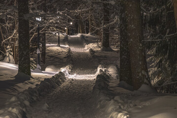 lanterns illuminated trail in the park in winter night