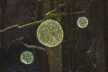 with artwork adorned trees at winter night