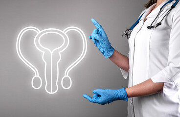 Male reproductive system with organs, penis, urethra. Genital health care