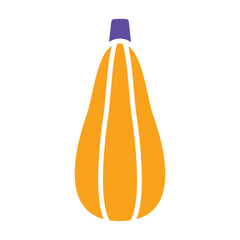 Zucchini isolated vector icon. Vegetable sign