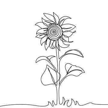 Sunflower flower is drawn by a simple continuous line. Abstract trendy minimalist Ukraine symbol design. Vector illustration