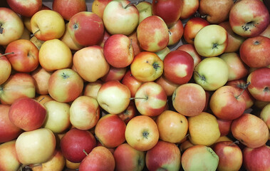 Apple background. Natural farm eco friendly apples top view.