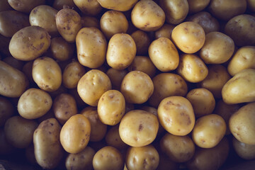  Fresh Organic Whole Potato. Farmers Market