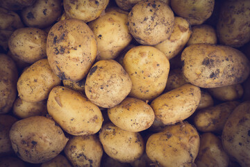  Fresh Organic Whole Potato. Farmers Market