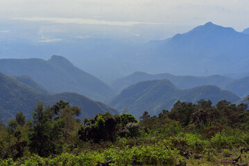 Beautiful mountains in Kodaikanal Tamilnadu