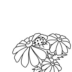 Chamomile and ladybug. Black and white vector image. Coloring.