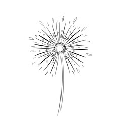 dandelion seeds isolated on white background