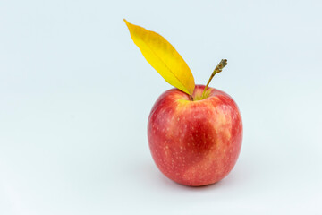 close-up apple on white background
