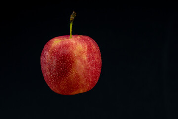 close-up apple on black background