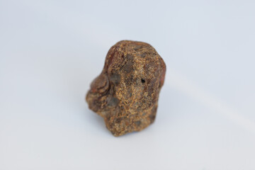 Natural Baltic amber from Poland.