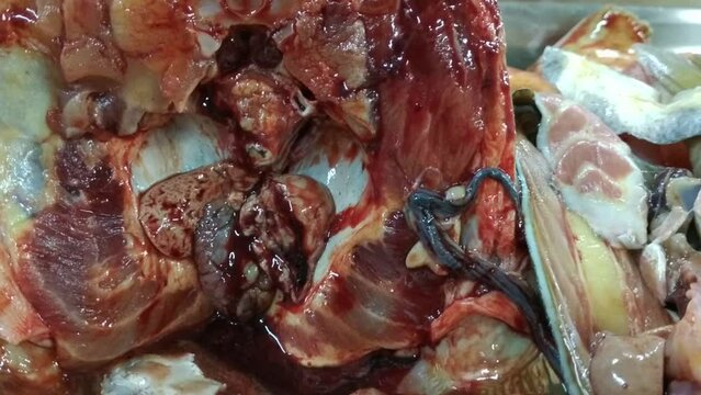 the heart of the fish continues to beat immediately after cutting the carcass. carcass cutting line at a marine products processing plant