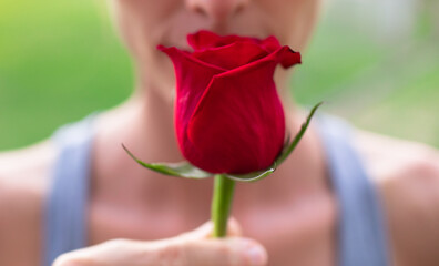 closeup of woman smelling red rose. Valentine's Day romance concept. 