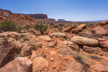 hiking the murphy trail loop in the island in the sky in canyonlands national park, usa