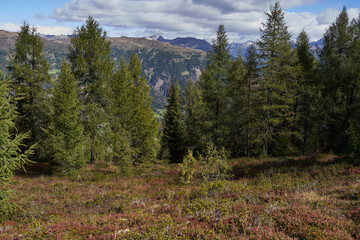 Sexten, Italy - September 19, 2022 - nature around Helmjet, upper station in late summer