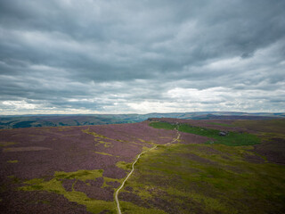 Wonderful heather fields in the Peak District National Park - travel photography