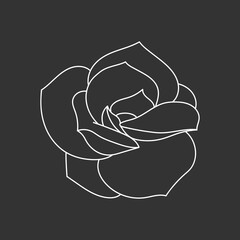 Succulent echeveria in doodle style, vector illustration. Desert flower for print and design. Outline mexican plant, graphic isolated element on chalk board background. Housplant for decor interior